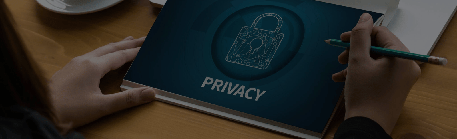 Business Fly - Privacy Policy